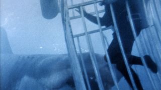 29. Челюсти (1975)