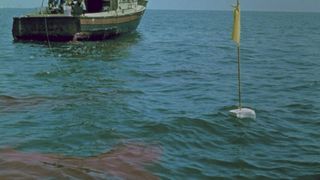 71. Челюсти (1975)