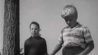 37. Такая длинная, длинная дорога (1972)