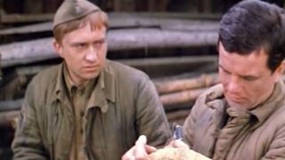 41. Тайная прогулка (1985)