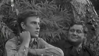 47. Сыновья уходят в бой (1969)