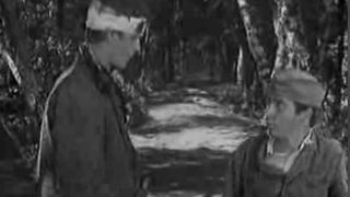 52. Сыновья уходят в бой (1969)