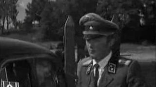 53. Сыновья уходят в бой (1969)