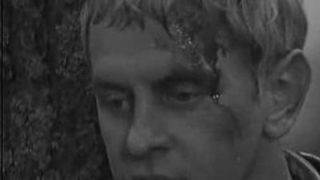 56. Сыновья уходят в бой (1969)