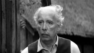 25. Солдат и слон (1977)