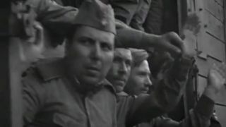 5. Солдат и слон (1977)