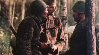 10. Сашка (1981)