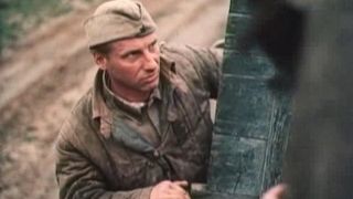 41. Сашка (1981)