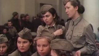 53. Сашка (1981)