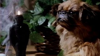 53. Повелитель кукол (1989)