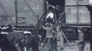 17. Пятнадцатая весна (1971)