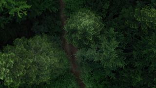 40. Лес призраков (2016)