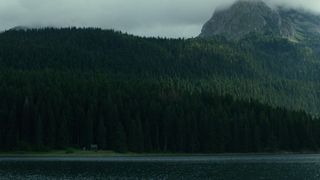 41. Лес призраков (2016)