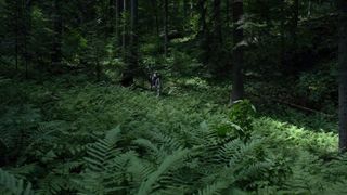 46. Лес призраков (2016)