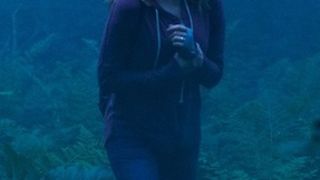 50. Лес призраков (2016)