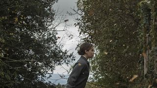 35. Голос из камня (2017)