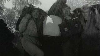 46. Поезд милосердия (1964)