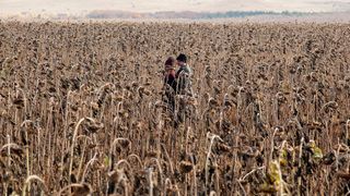 100. Тихий Дон (2015)