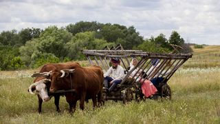 88. Тихий Дон (2015)