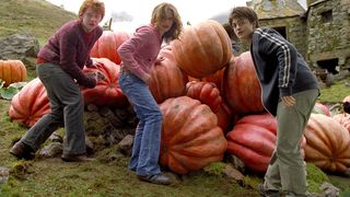 14. Гарри Поттер и узник Азкабана (2004)