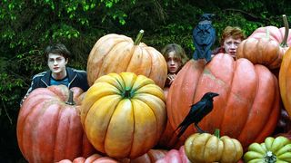 43. Гарри Поттер и узник Азкабана (2004)