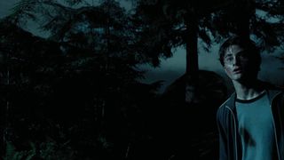 91. Гарри Поттер и узник Азкабана (2004)