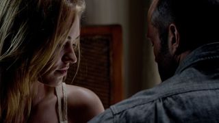 13. Профессионал (2011)