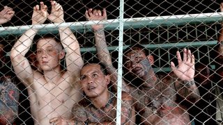 2. Бои без правил (2017)
