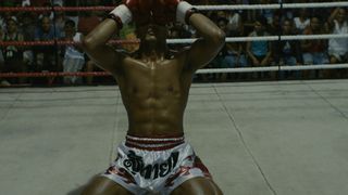 21. Бои без правил (2017)