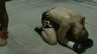 39. Бои без правил (2017)