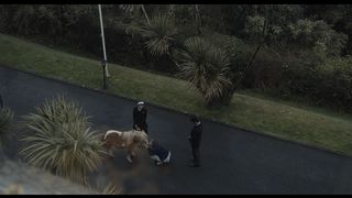 31. Лобстер (2015)