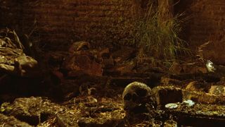 77. Лабиринт Фавна (2006)