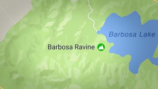 55. Поиск (2018)