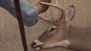 8. Простая история (1999)