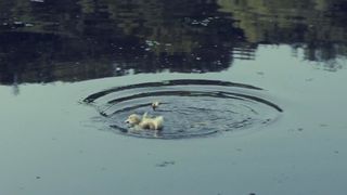 121. Дом, который построил Джек (2018)