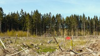 133. Дом, который построил Джек (2018)