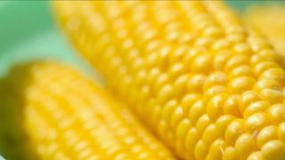 56. Дом, который построил Джек (2018)