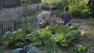 21. Древо жизни (2010)