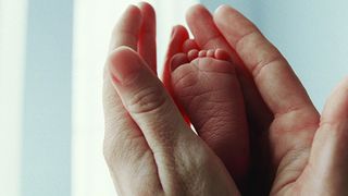 26. Древо жизни (2010)