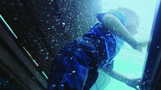 31. Древо жизни (2010)