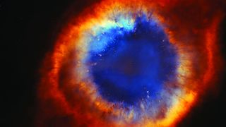 40. Древо жизни (2010)