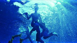 46. Древо жизни (2010)