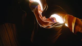 48. Древо жизни (2010)