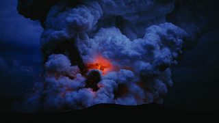 49. Древо жизни (2010)