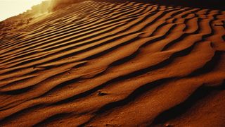 55. Древо жизни (2010)