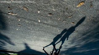 68. Древо жизни (2010)