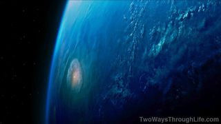 79. Древо жизни (2010)