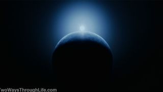 80. Древо жизни (2010)