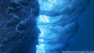 81. Древо жизни (2010)