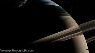 88. Древо жизни (2010)